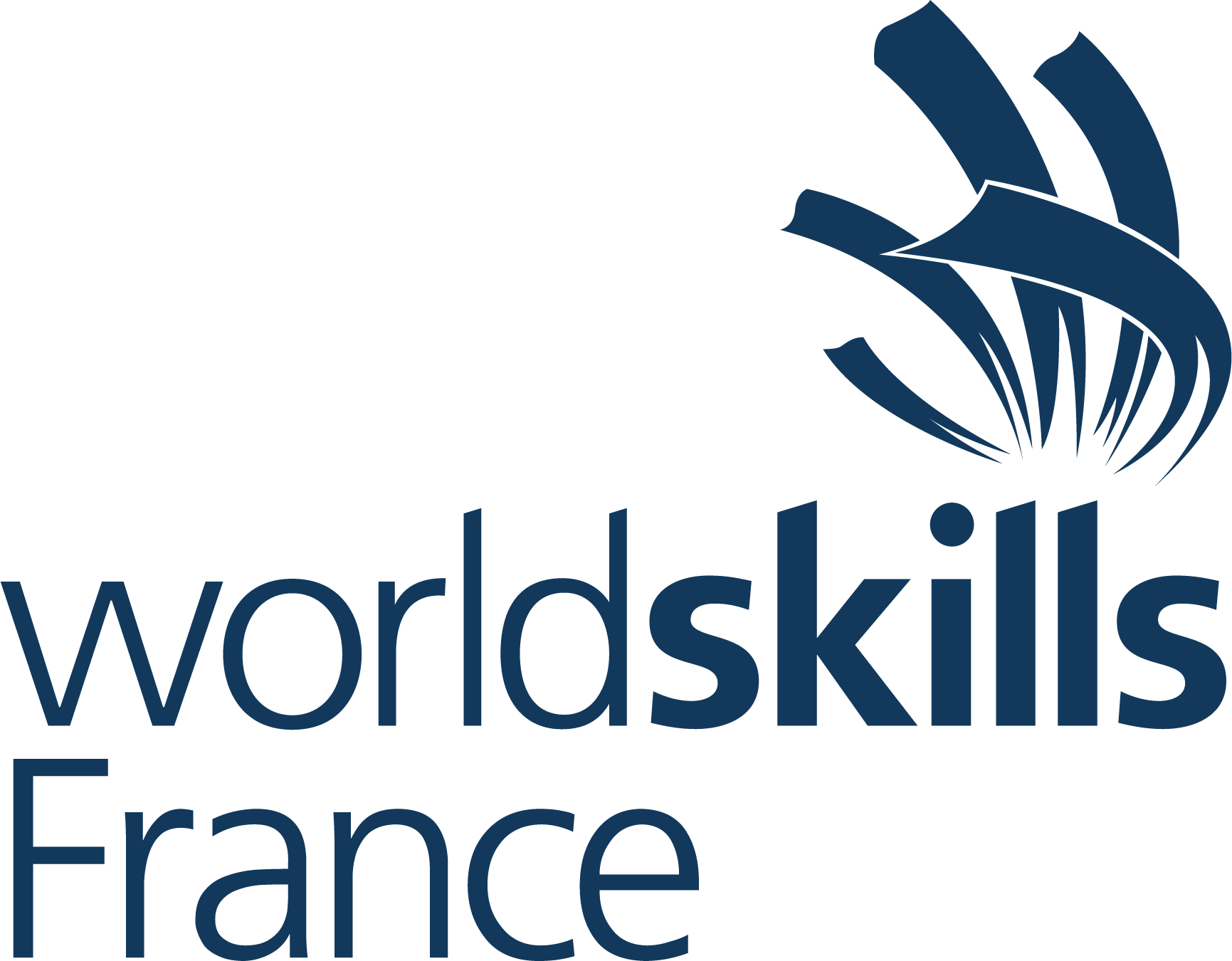 Logo World Skillz