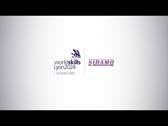 video worldskills